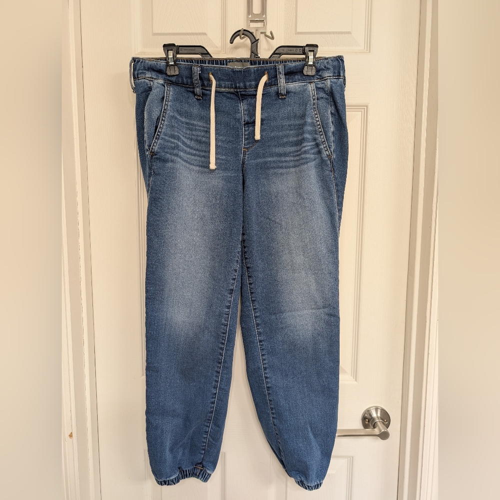 Torrid Denim Jogger